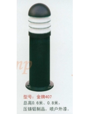 金牌407